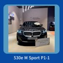 BMW 530e M Sport 24년식 연말할인 / BMW 사상전시장 플러그인 하이브리드 530e 엠스포츠 출고후기 2