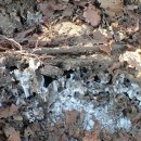 월악산정 이미지