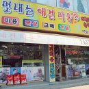 멋내는 애견 이미지