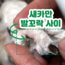 토토미장원 이미지