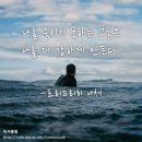 [명언 150선] 프리드리히 니체의 생존 명언/좋은글 - 2 이미지