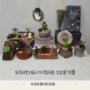 진안군장애인종합복지관 | 제주 서귀포 장애인복지관 여성장애인 도우아트지도사 자격과정 수업 후기