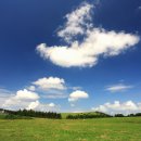 건영목장 이미지