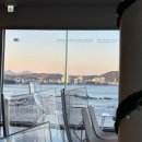 바벨 | 울산 간절곶 대형 오션뷰 베이커리 카페 바벨드림 솔직후기