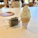 맥도날드 앞 보도 | 나트랑 맥도날드 메뉴 말차맥플러리 브라우니 디저트 후기 (+ 단종된 초코콘 발견)