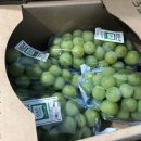 동그라미농장 이미지