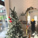 무인42 | 대전 24시 무인꽃집 꽃날애 원신흥동 꽃다발 선물 후기