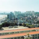 포항동부초등학교 이미지