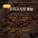 이로운고기