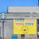 해피애견타운 강아지고양이 포항점&현살롱드펫(남구) 이미지