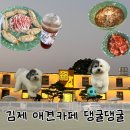 댕굴댕굴 | 군산, 전주 근교 김제 애견카페 강아지수영장 댕굴댕굴