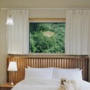 스테이우린 이미지