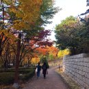 세븐일레븐 안산한양점 | 서울 인왕산 등산코스, 서대문역 출발한 짧은 가을 산행
