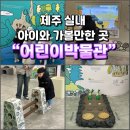 한라산똥돼지 | 제주 어린이박물관(국립제주박물관) 실내 무료체험 가볼만한 곳