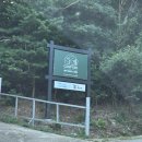 위너게임장 | [용인] 캠프 1361 신생 캠핑장 (애견동반/키즈캠핑장)