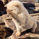 황호농장 이미지