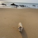 두식이펜션