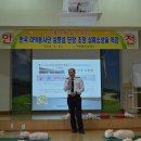 대관령초등학교 이미지