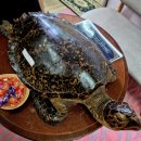 사주명리학/강좌번호 5 | 종로3가사주 인도명리학 동원당사주타로