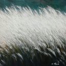 그림아놀자