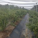 박종우농장 이미지