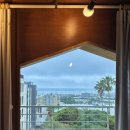 순진한가 이미지