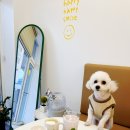 카페일리터천안목천점