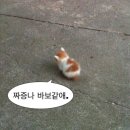 합성동우리약국 | [7월 월말 결산] 종강했자나! 수고했자나! 놀아!!