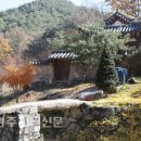 지동2리경로당 티스토리