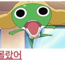 애린네일 | 정신머리는 나트랑에 두고 왔어