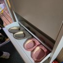 양양 글램핑 하조스테이 C동 솔직후기 | 하조대 감성 숙소 | 애견동반 카라반
