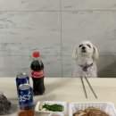 송서방네왕족발 - 창원시 진해구 자은로64번나길 7 | 송서방네왕족발