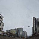 세탁광장 | 2026 뉴발란스 ryw 하프마라톤 후기 (+우중런 신발세탁)