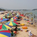 고성 이미지