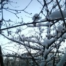 학의천변 이미지