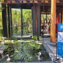 KALM | 치앙마이 감성 공간｜Kalm Village 복합문화공간 방문 후기 (2025년 1월)