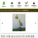 송플라워앤가든
