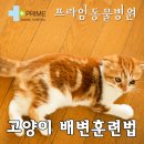 프라임 동물병원 앞 이미지