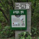 청수 곶자왈 이미지