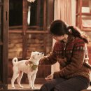 은숙농장 이미지