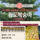 반디농원