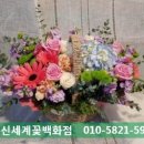 전주구경하세요