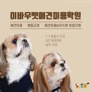 [ 인천 ] 이바우펫, 교육비 저렴한 청라 송도 영종도 인천 애견미용학원 알려드려요 👏