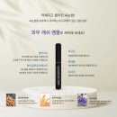 와우콩