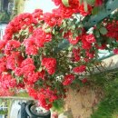 남해랑바다랑 이미지