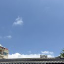 정원돼지국밥 | [울산 중구] 태화강국가정원 맛집｜대밭골돼지국밥 재방문 후기🍲