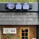 씨제이올리브영(주)광주첨단쌍암점 | [솔솥] 광주 맛집 / 첨단 솥밥 추천후기