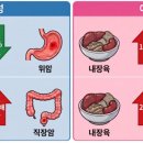 고기는
