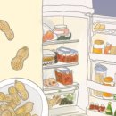 중앙땅콩 이미지