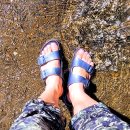 오도산 자연휴양림 이미지